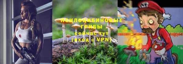 дживик Алексеевка