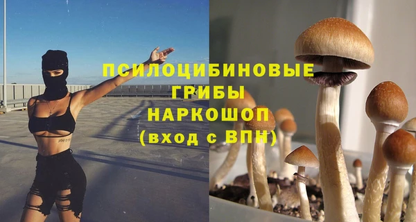 гидропоника Алзамай