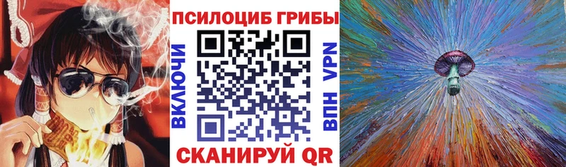 Псилоцибиновые грибы Psilocybine cubensis  Асино 