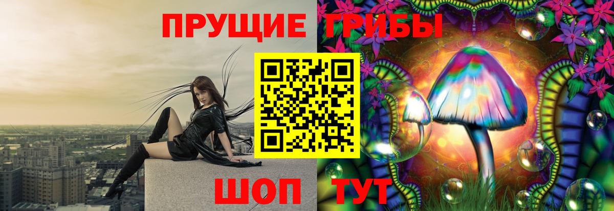 Псилоцибиновые грибы GOLDEN TEACHER Асино