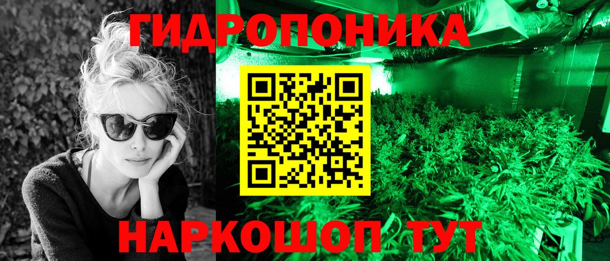Асино  Шишки марихуана планчик  Вход с VPN  Бошки Шишки конопля 